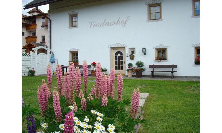 Lindnerhof Urlaub Am Bauernhof 호텔 산로렌조디세바토 외부 사진